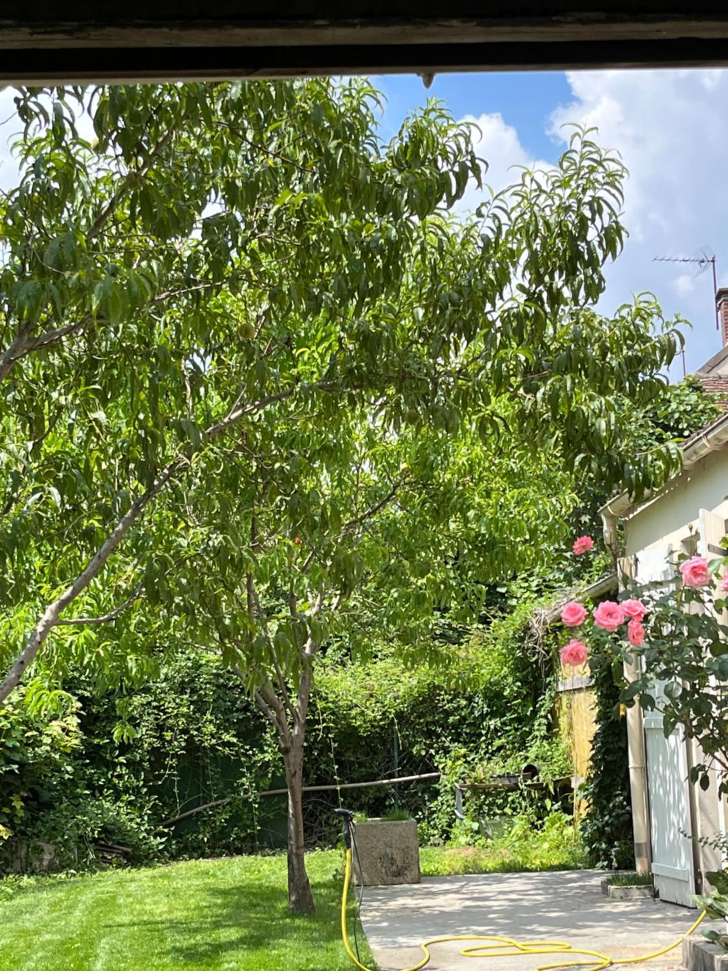 Endroit Charmant Coulommiers Esterno foto